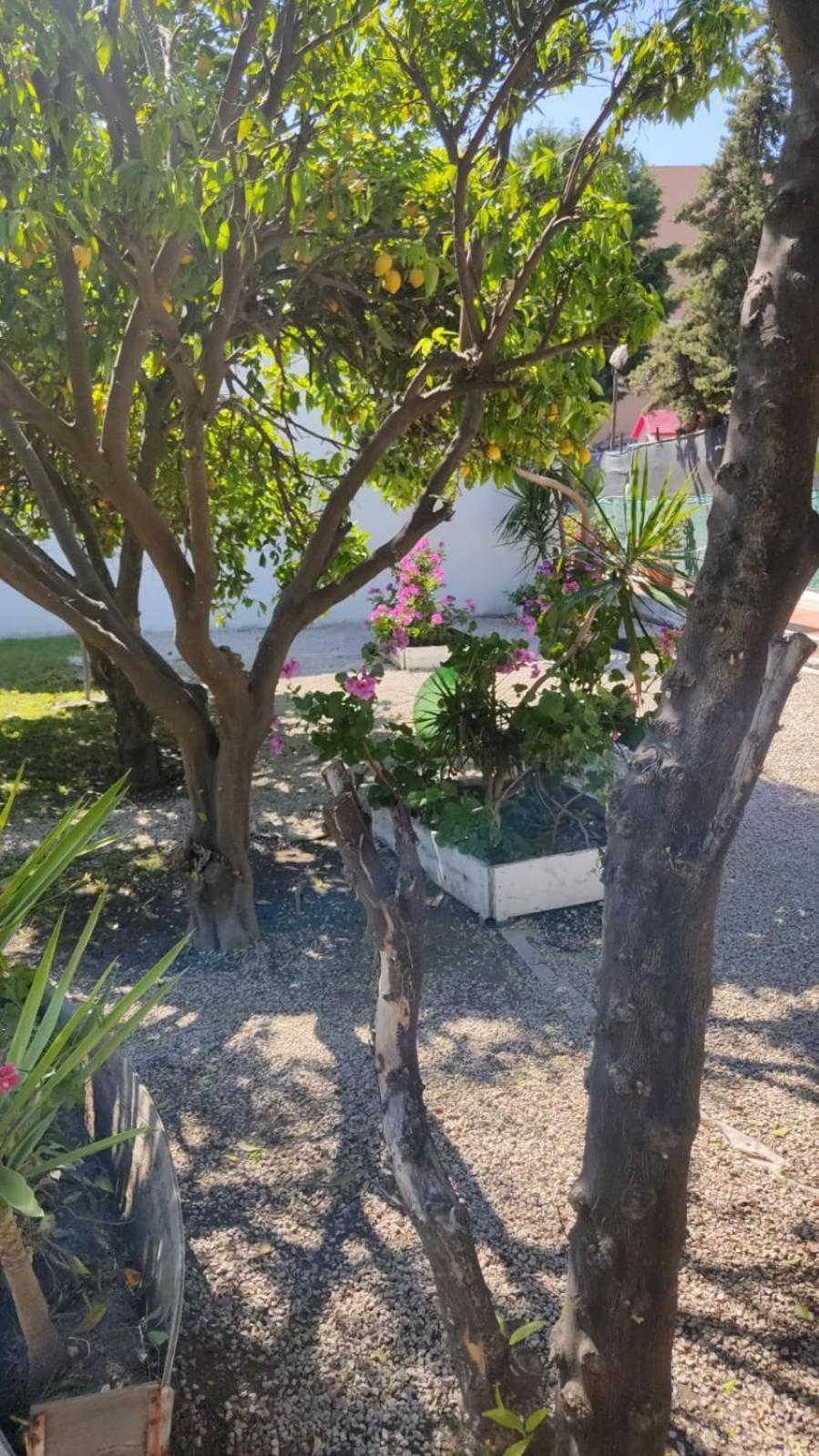 Garden Green Da Virna Torre Annunziata Εξωτερικό φωτογραφία