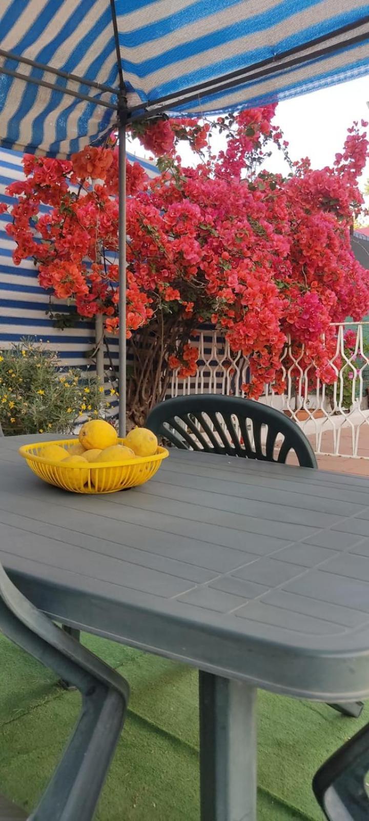 Garden Green Da Virna Torre Annunziata Εξωτερικό φωτογραφία