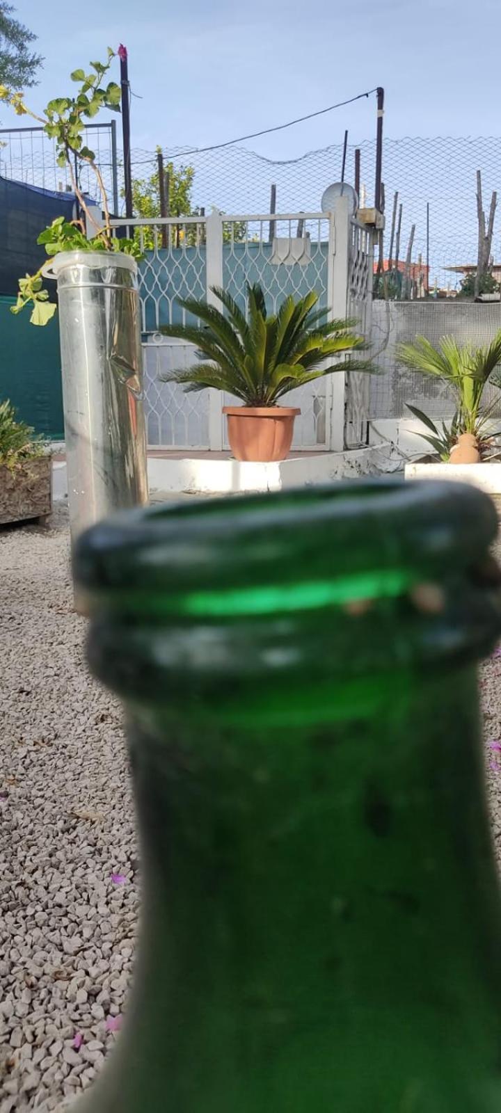 Garden Green Da Virna Torre Annunziata Εξωτερικό φωτογραφία