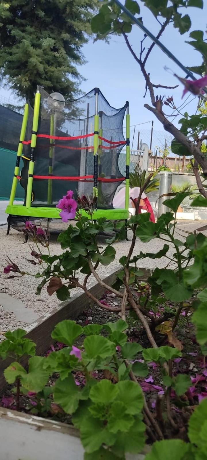 Garden Green Da Virna Torre Annunziata Εξωτερικό φωτογραφία