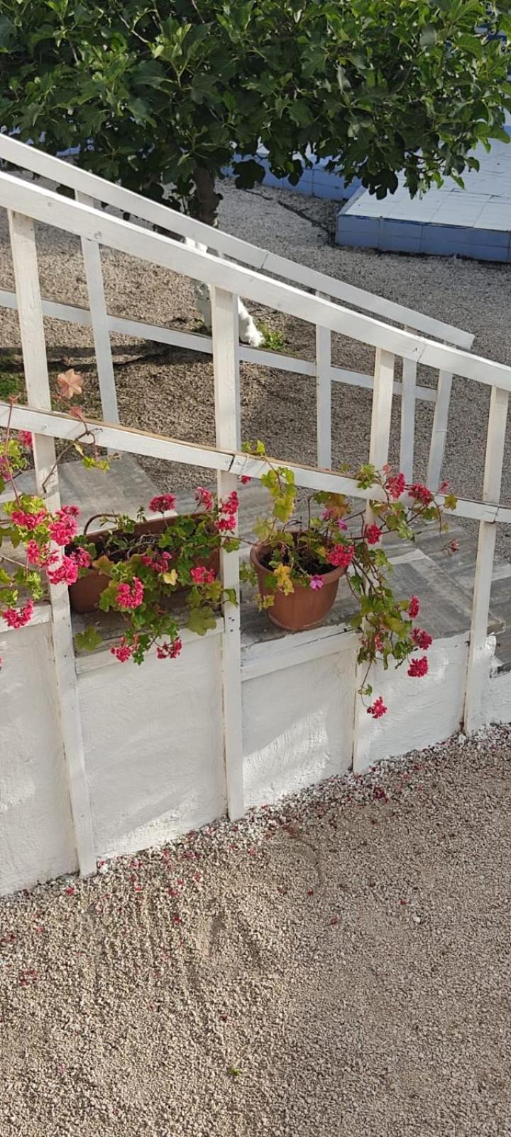 Garden Green Da Virna Torre Annunziata Εξωτερικό φωτογραφία